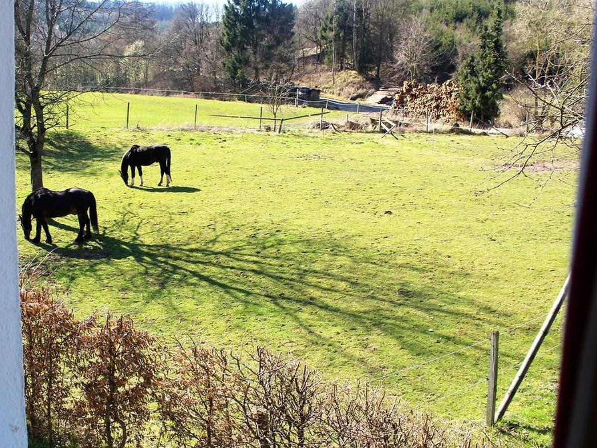 Ferienwohnung Peitz Eslohe Kültér fotó