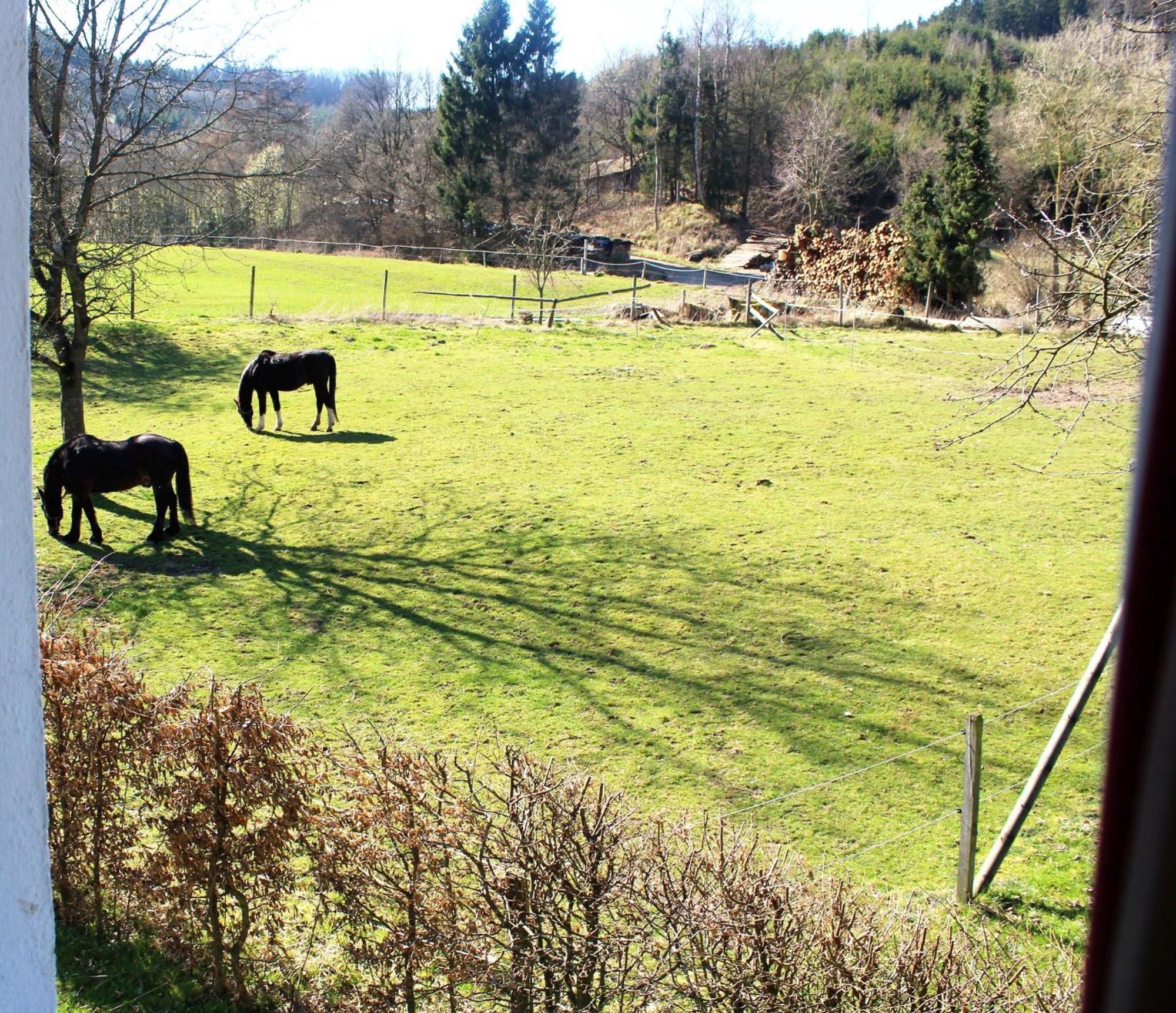 Ferienwohnung Peitz Eslohe Kültér fotó