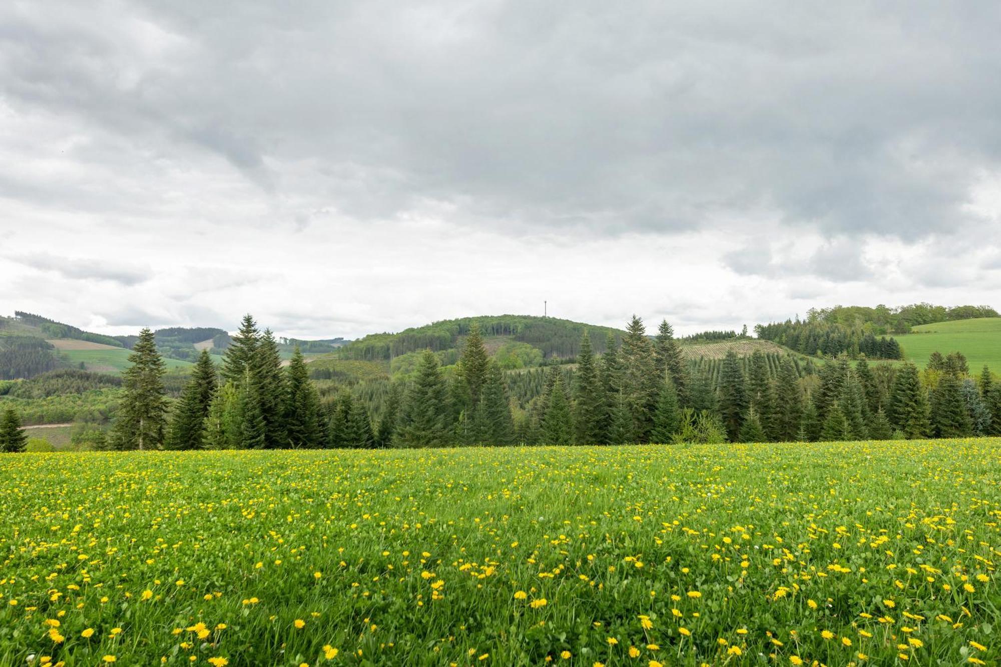 Ferienwohnung Peitz Eslohe Kültér fotó
